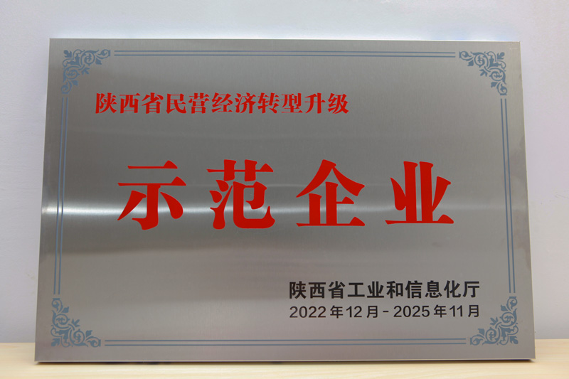 陜西省民營經(jīng)濟轉(zhuǎn)型升級示范企業(yè)